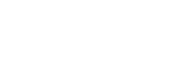 ViSV Foundation Logo